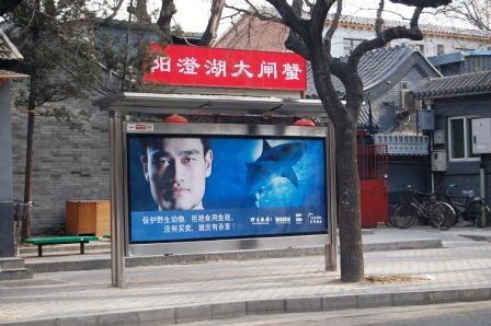 yao ming sharks fin soup campaign
