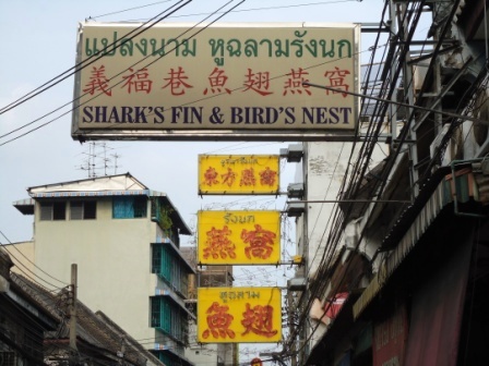 sharks fin restuarant in bangkok chinatown