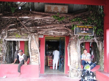 banyan tree temple