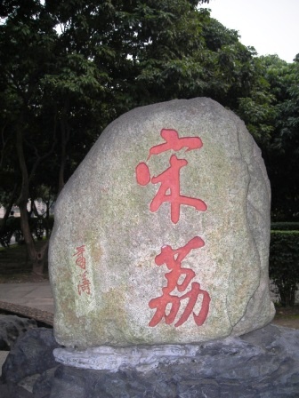 ancient lychee tree