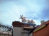 sri mariamman temple