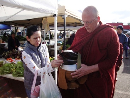 bhikkhu cintita dinsmore